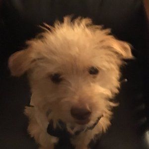 Meet your Posher, Randi